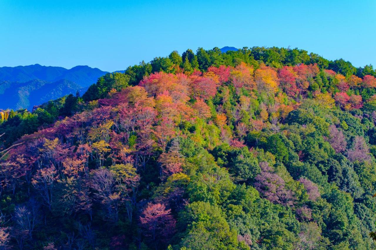 Miyoshino Sakuraan Guest house *