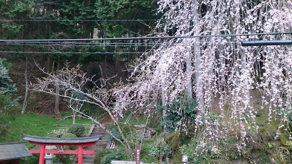 Miyoshino Sakuraan Guest house